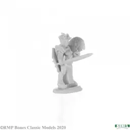 Wizk!ds D&D - Onslaught: Expansion - Sellswords 2 Gold and Glory Role playing games